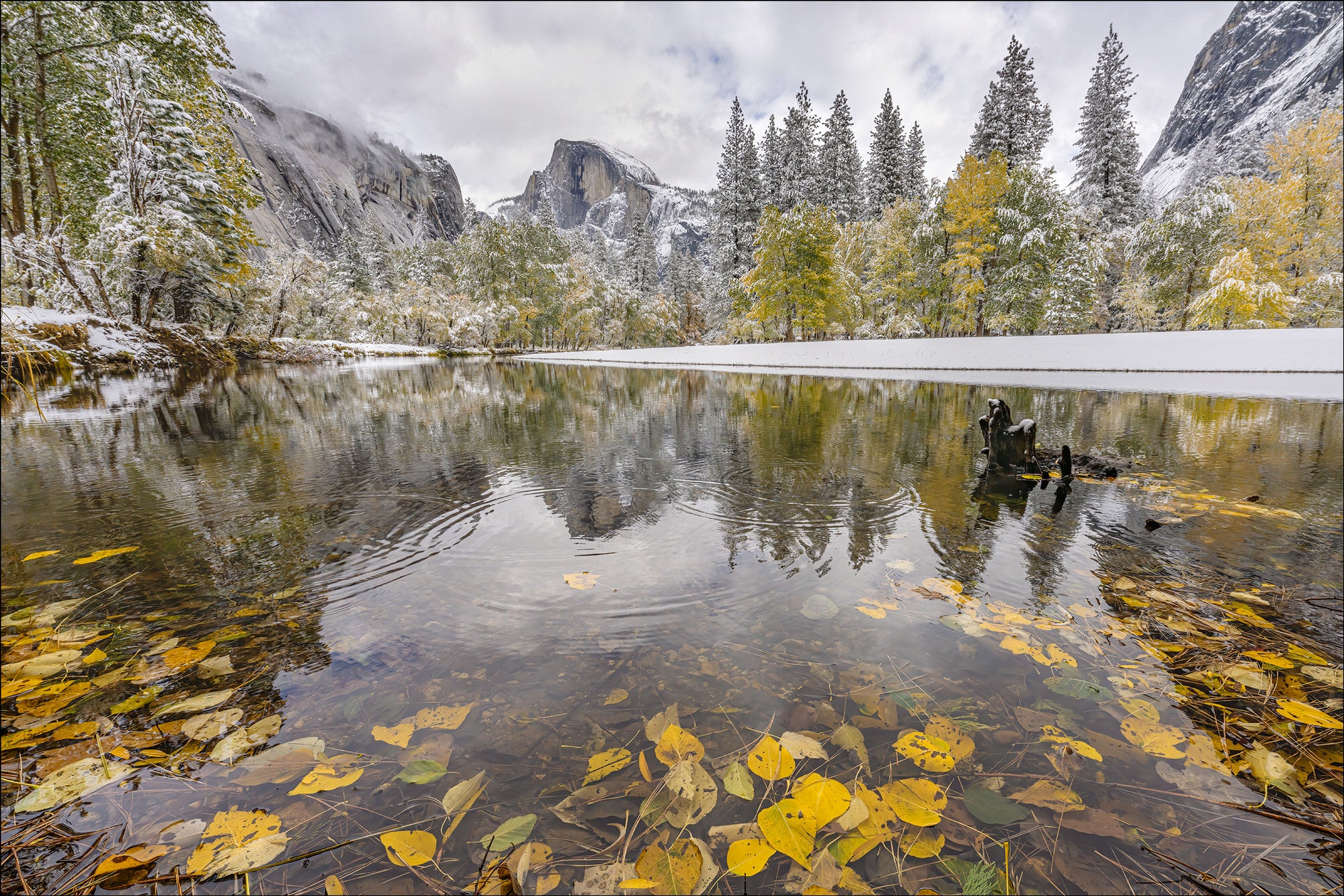 Half Dome Reflection - Photo by Gary Hart Snowfall in Yosemite with Sony 12-24mm f2.8 G Master Lens and A7R IV - Alpha Universe
